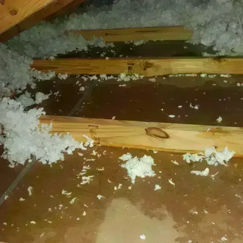 Attic Water Damage in Clearwater, MN