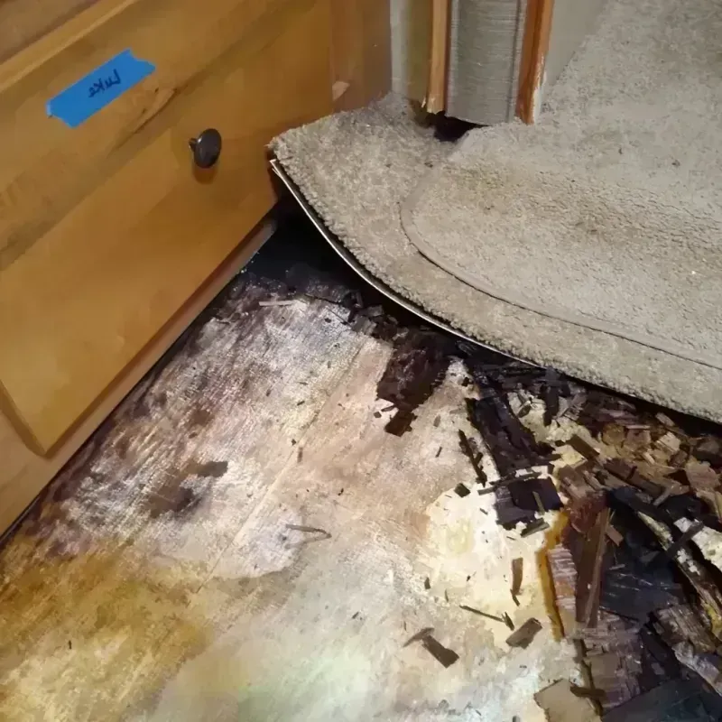 Wood Floor Water Damage in Clearwater, MN